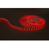 Ruban LED Modee DC24V 14,4W/m 60LED/m 8mm IP20 RGB (360 lm/m) B5