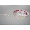 Striscia LED Modee DC24V 9,6W/m 128LED/m 8mm IP20 2700K CRI90 (1150 lm/m) B5