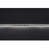 Taśma LED Modee DC24V 9,6W/m 128LED/m 8mm IP20 4000K CRI90 (1150 lm/m) B5