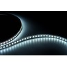Ruban LED Modee DC24V 9,6W/m 128LED/m 8mm IP20 6000K CRI90 (1150 lm/m) B5