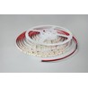 Светодиодная лента Modee DC24V 9,6W/m 128LED/m 8mm IP20 6000K CRI90 (1150 lm/m) B5