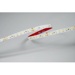 Striscia LED Modee DC24V 9,6W/m 128LED/m 8mm IP20 6000K CRI90 (1150 lm/m) B5