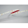 Ταινία LED Modee DC24V 9,6W/m 128LED/m 8mm IP20 6000K CRI90 (1150 lm/m) B5