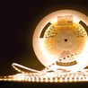Silicone LED strip Modee DC12V 4,8W/m 60LED/m 8mm IP65 4000K (540 lm/m) B20