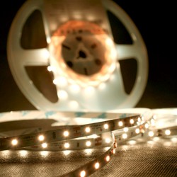 Светодиодная лента в силиконе Modee DC12V 4,8W/m 60LED/m 8mm IP65 4000K (540 lm/m) B5