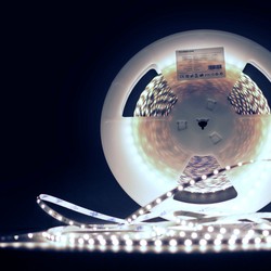 Ruban LED silicone Modee DC12V 4,8W/m 60LED/m 8mm IP65 6000K (540 lm/m) B20