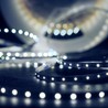 Tira LED silicona Modee DC12V 4,8W/m 60LED/m 8mm IP65 6000K (540 lm/m) B20