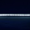 Ruban LED silicone Modee DC12V 4,8W/m 60LED/m 8mm IP65 6000K (540 lm/m) B5