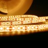 Striscia LED in silicone Modee DC12V 9,6W/m 120LED/m 8mm IP65 2700K (1080 lm/m) B20