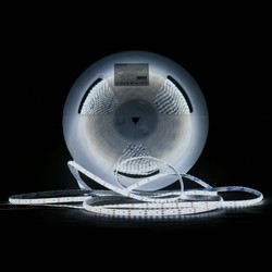 Ταινία LED σιλικόνης Modee DC12V 9,6W/m 120LED/m 8mm IP65 6000K (1080 lm/m) B20