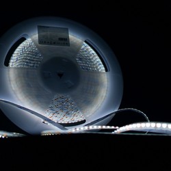 Fita LED em silicone Modee DC12V 9,6W/m 120LED/m 8mm IP65 6000K (1080 lm/m) B20