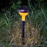 LED-Solar-Gartenleuchte Modee GS027 (30cm)