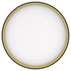 Plafonnier LED Modee CLEBK 32+8W 3CCT+RGB D400mm + télécommande (3200 lm)