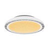 Потолочный светодиодный светильник с вентилятором Modee 24W RGB + 3CCT D450mm с пультом F1 (2100 lm)