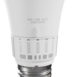 Λάμπα LED κλασική 13 W E27, CCT (ρυθμιζόμενη θερμοκρασία χρώματος)