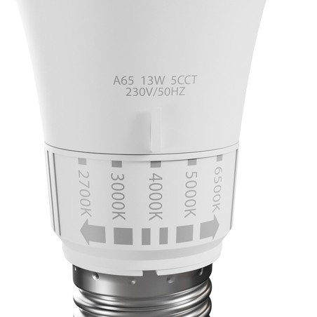 Standaard LED-lamp 13 W E27, CCT (instelbare kleurtemperatuur)