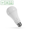 Standaard LED-lamp 13 W E27, CCT (instelbare kleurtemperatuur) – foto 4