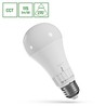 Standaard LED-lamp 13 W E27, CCT (instelbare kleurtemperatuur) – foto 6