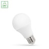 Lâmpada LED standard 4,9 W 6000 K E27