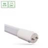 Tubo LED 24 W 6000 K G13 1500 mm, in vetro, T8 – WOJ+22308_24W – foto 2