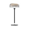 Solarleuchte Lumina Fungi 2,5 W 2700 K IP44, USB
