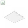 Panel LED Algine 600 × 600 mm 36 W 6000 K IP20, blanco