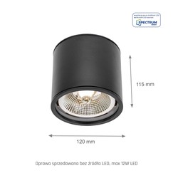 LED-Spot AR111 Chloe GU10 IP65, rund, schwarz