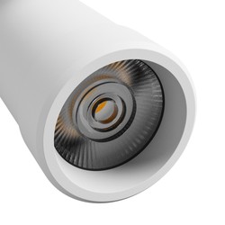 Spot LED sur rail Pava 20 W 45° IP20 CCT (température réglable) blanc – photo 5