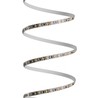 Striscia LED 12 V 9,6 W/m 6000 K IP20, rotolo da 30 m – foto 2