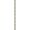 Ταινία LED 12 V 9,6 W/m 6000 K IP20, ρολό 5 m – φωτογραφία 3