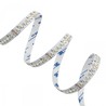 Tira LED 24 V 4,8 W/m IP54, rollo de 5 m, CCT (temperatura de color ajustable), RGBW