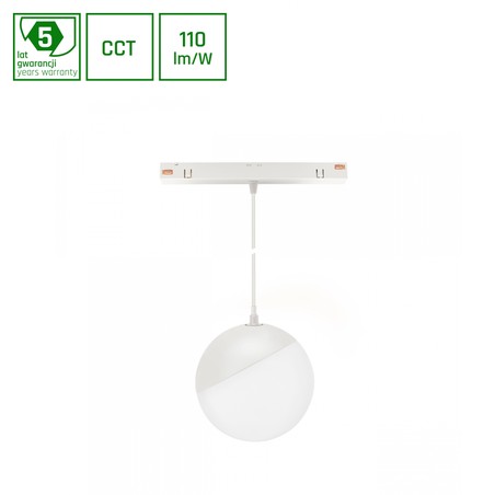 Magnetic globe light WLD Shift 5 W IP20, CCT (adjustable colour temperature), suspended, with switch, white