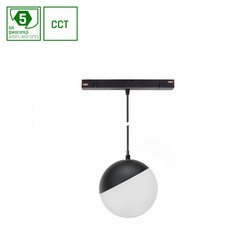 Magnetic globe light WLD Shift 6 W IP20, dimmable, CCT (adjustable colour temperature), smart, suspended, black