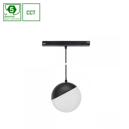 Magnetic globe light WLD Shift 6 W IP20, dimmable, CCT (adjustable colour temperature), smart, suspended, black