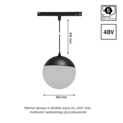 Magnetic globe light WLD Shift 6 W IP20, dimmable, CCT (adjustable colour temperature), smart, suspended, black – photo 5