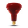 Infraroodlamp R125 250 W E27, rood glas – foto 2