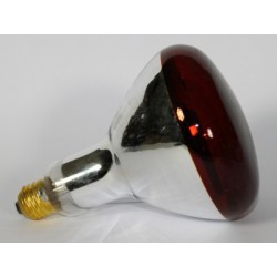 Ampoule chauffante INFRARUBIN R2 GE 150W 240V E3 