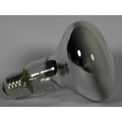 Halogen-lampe PHILIPS R80 40W 230V E27 