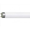Rurka Philips Master TL-D 15W/840 Super 80