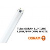 OSRAM L 18W/840 LUMILUX Cool White