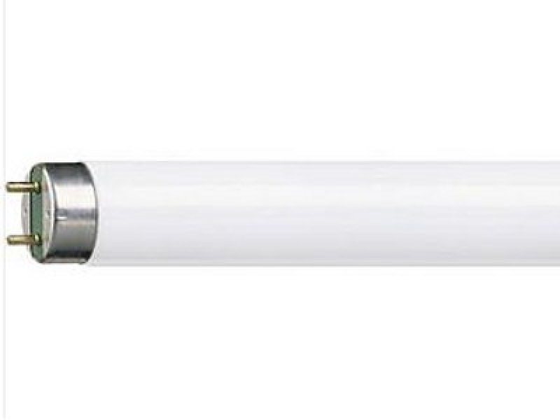 Philips Master TL-D 