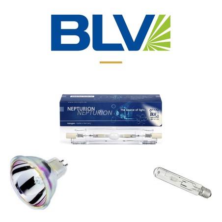 BLV